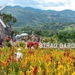 FB_IMG_1681022868156_edit_798603754430746