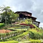 IMG-d6f64a98617ad46414b467c7df286227-V_edit_3313759544630809