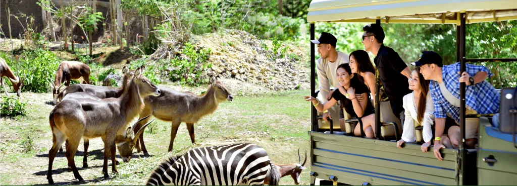 Cebu Safari Adventure Park cebu-safari-adventure-park