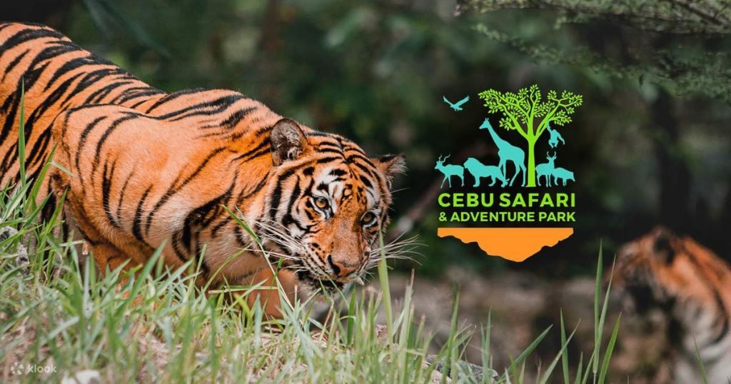 cebu travels ph cebu safari 5