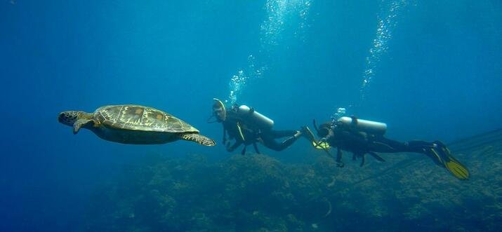 cebutravels ph moalboal 5