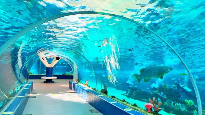 images_edit_759285946059141