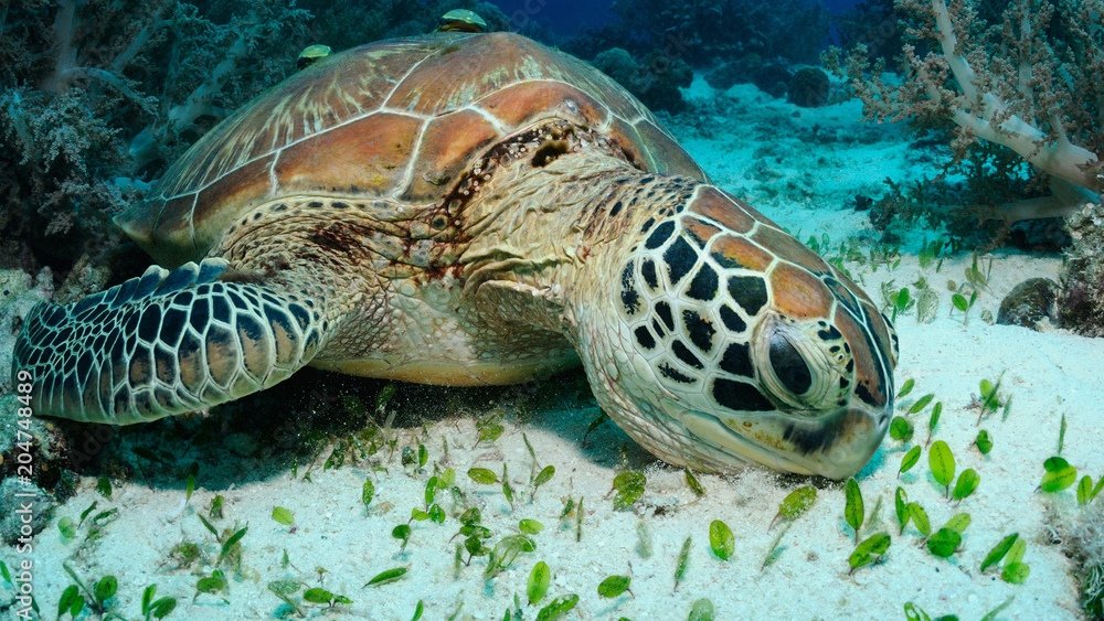 1000_F_204748489_s0pIzrmp0S0wlRvc3NArPB0qd5UlRHG9_edit_758233121805135