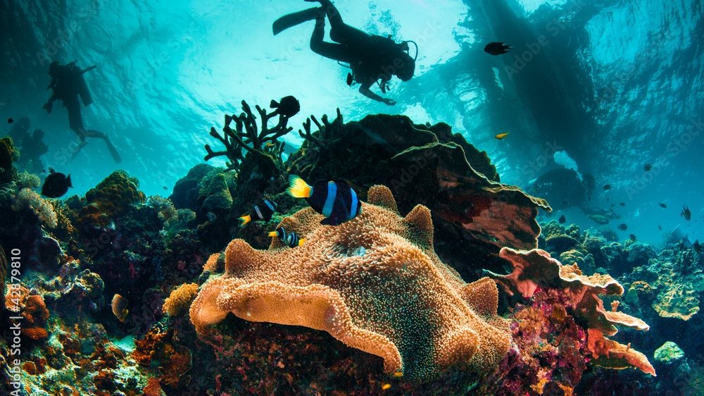 1000_F_42879810_mzlahfN0uhlcFBV3dtSHVS8siXPbwpKY_edit_758223865300449