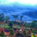 FB_IMG_1680959400681_edit_758927806837321