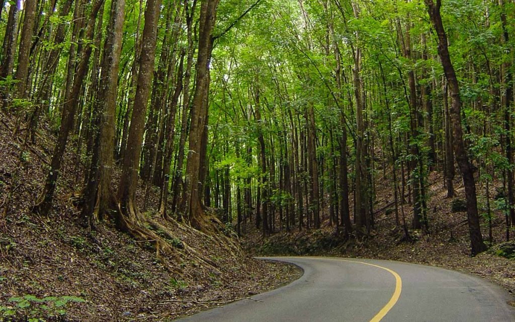 cebutravels ph bohol tours 12